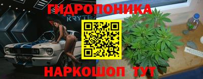 стафф Краснокаменск