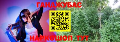 шишки Краснознаменск