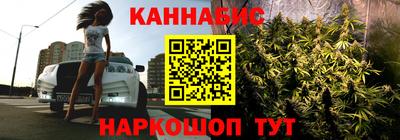 шишки Краснознаменск