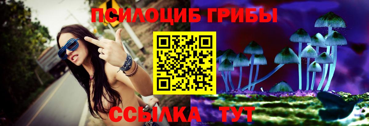 Коломна  Галлюциногенные грибы Psilocybine cubensis  Вход с VPN 