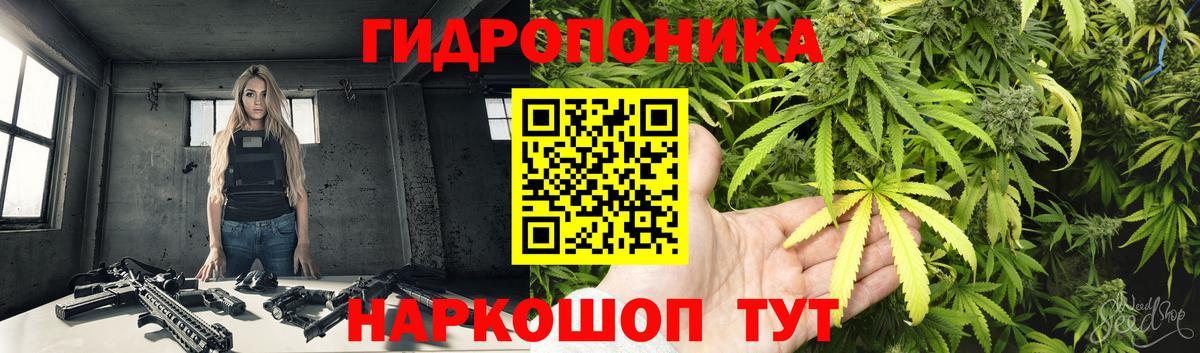 Бошки Шишки Bruce Banner  МАРИХУАНА Amnesia  Вход с VPN  Коломна  Каннабис план 